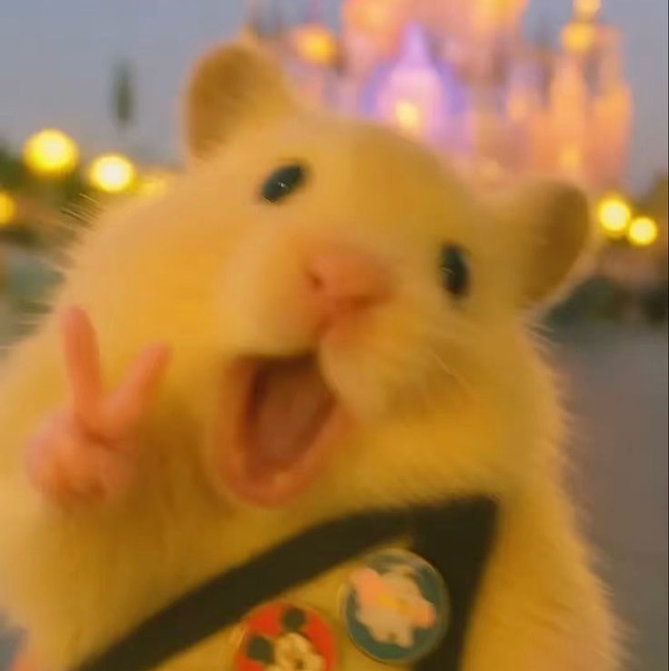 Isabelle